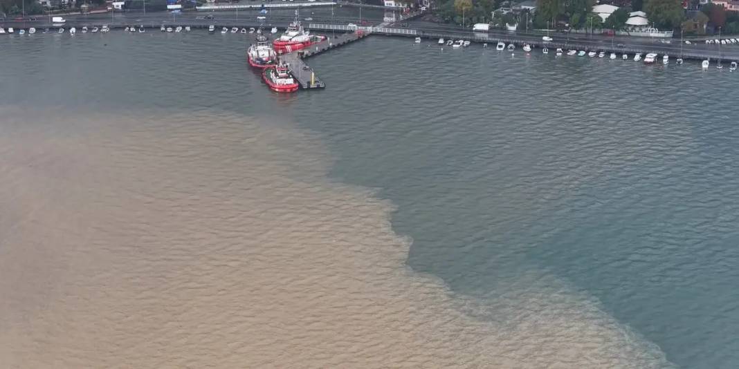 İstanbul Boğazı renkten renge girdi: Kıyıda 200 metrelik alan... 3